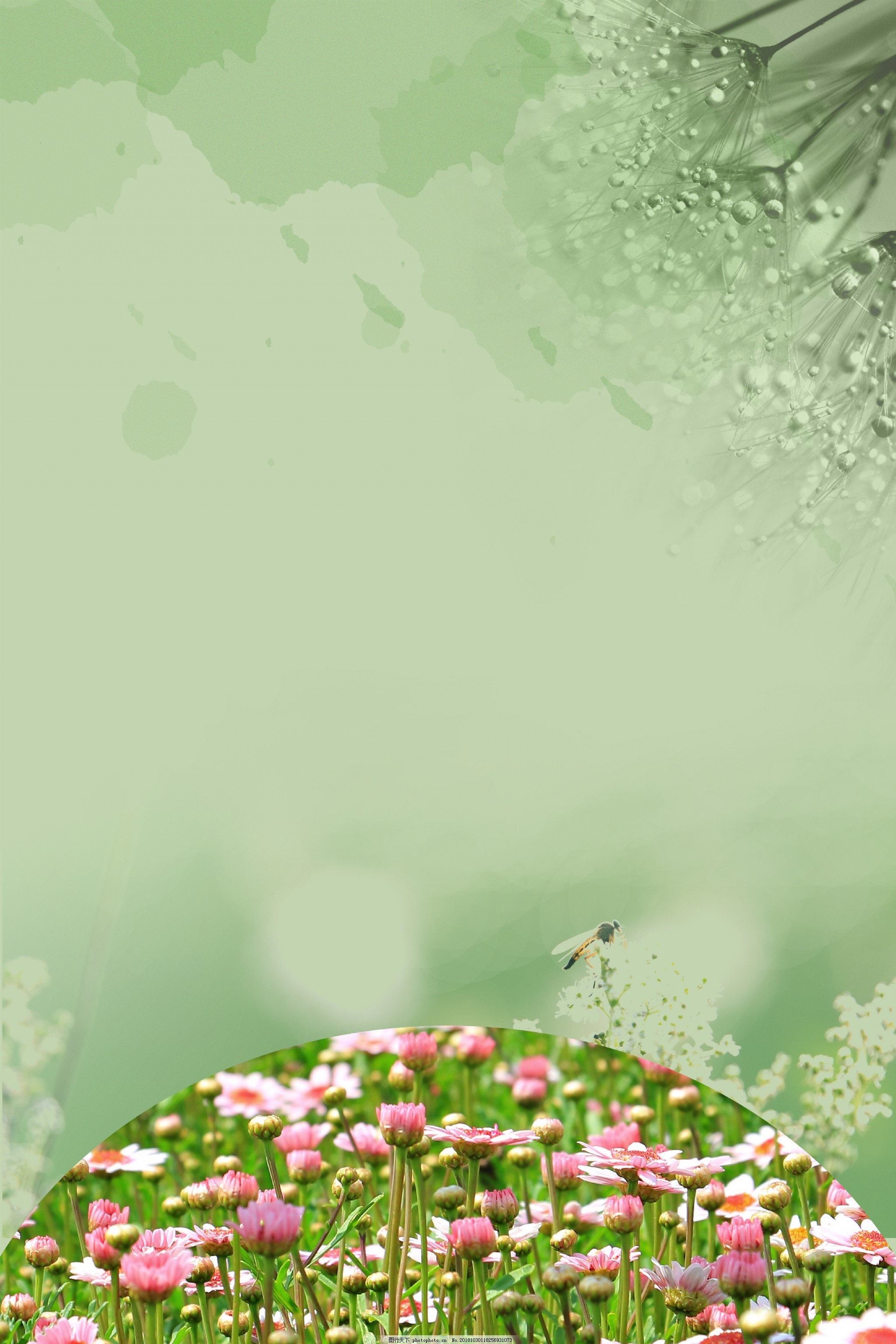 清新花园背景素材图片 广告背景 底纹边框 图行天下素材网
