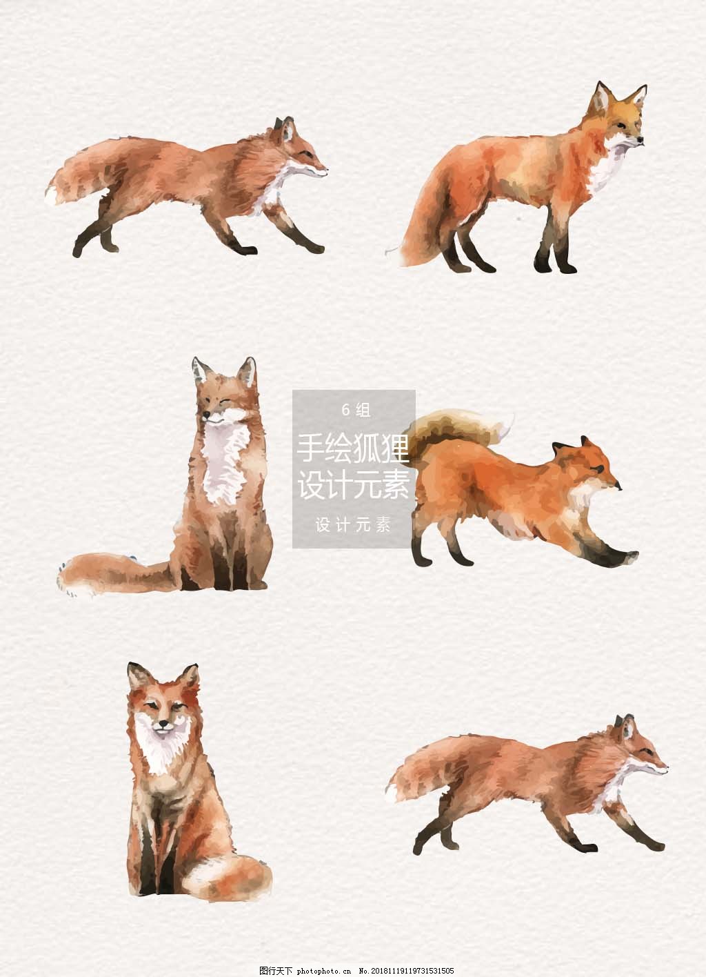 手绘狐狸插画设计元素图片 装饰图案 设计元素 图行天下素材网