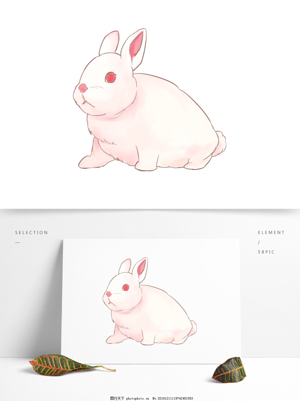 現實可愛的粉紅色兔子 3d 模型, 粉红兔子, 兔子 3d 渲染, 兔子素材圖案，PSD和PNG圖片免費下載